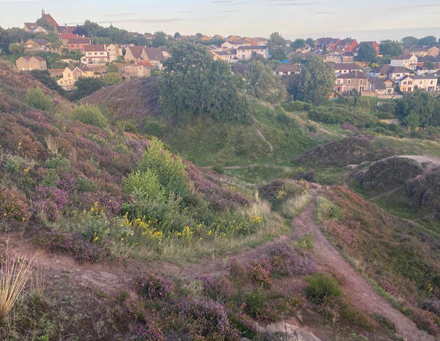 Troopers Hill in summer